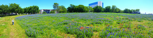 Corporate Campus «JCPenney Headquarters», reviews and photos, 6501 Legacy Dr, Plano, TX 75024, USA