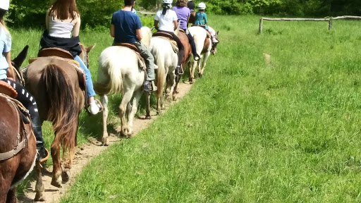 Horseback Riding Service «Grandpa Jeffs Trailrides», reviews and photos, 5889 S Skinner Rd, Morgantown, IN 46160, USA