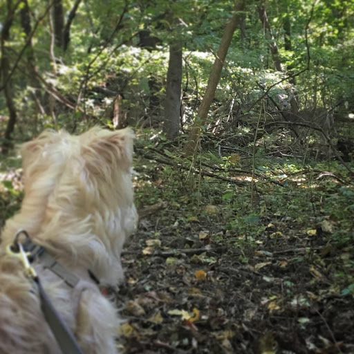 Park «Edison State Park», reviews and photos, 37 Christie St, Edison, NJ 08820, USA