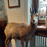 Photo n°1 de l'avis de Sebastiano.d fait le 17/12/2019 à 21:34 sur le  Le Barmé de l'Ours à Rhêmes-Saint-Georges