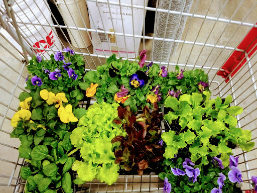 Hardware Store «Yeager Hardware», reviews and photos, 814 W Center St, Greenwood, AR 72936, USA