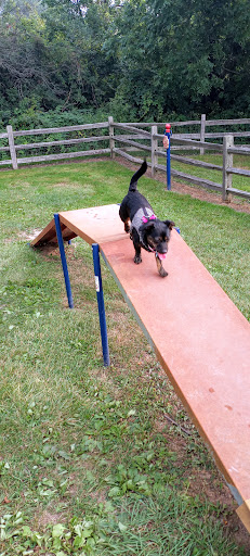 Nature Preserve «Larsen Nature Preserve», reviews and photos, 1720 Western Ave, Waukegan, IL 60085, USA