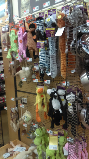 Pet Supply Store «Pet Supplies Plus», reviews and photos, 1237 Concord Pkwy N, Concord, NC 28025, USA
