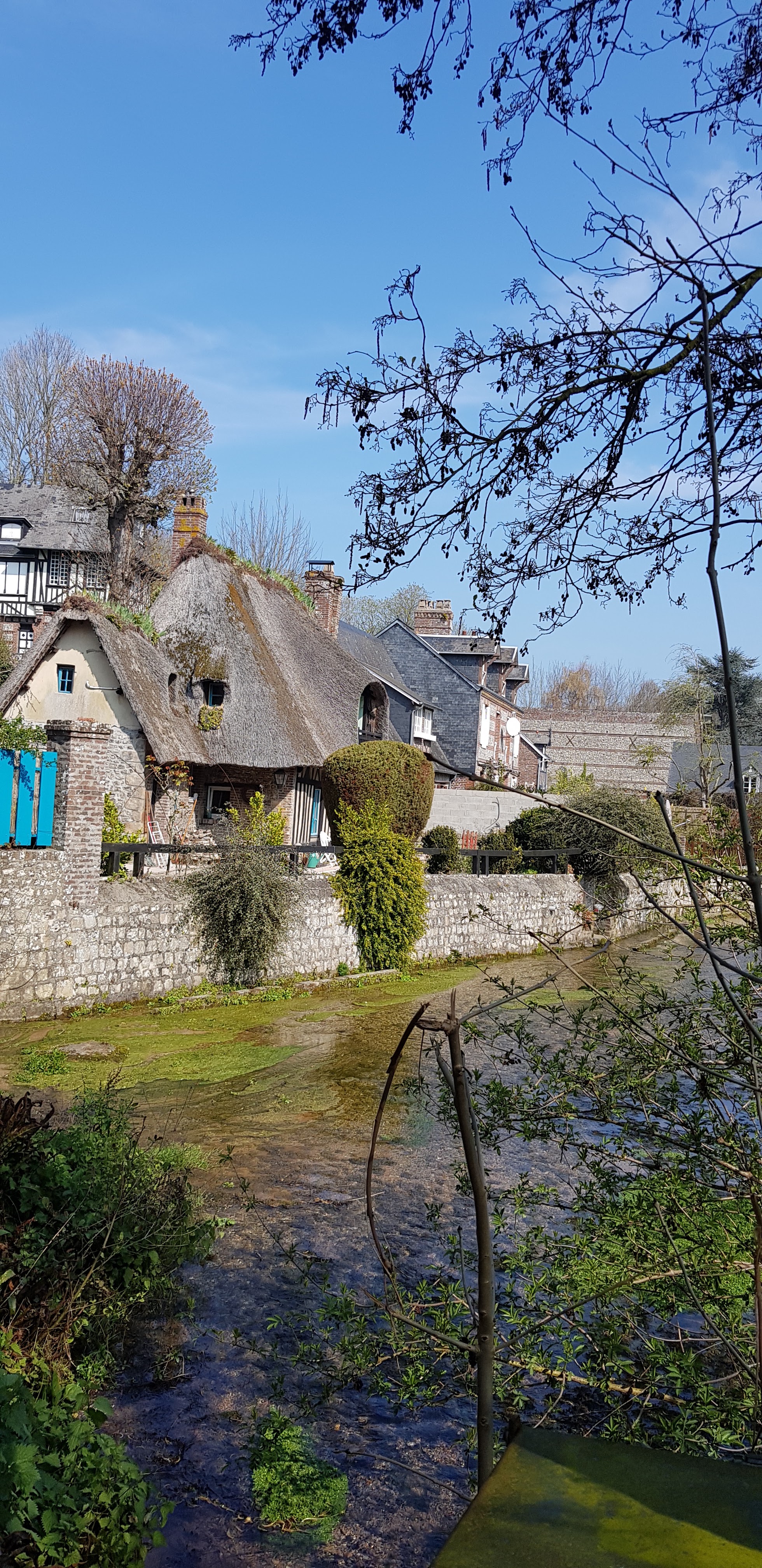 Photo n° 47 de l'avis de beatrice.r fait le 08/04/2019 à 15:08