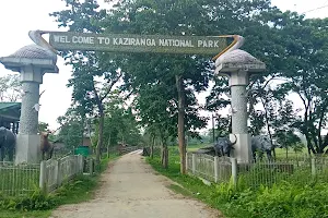 Eastern Range, Kaziranga image