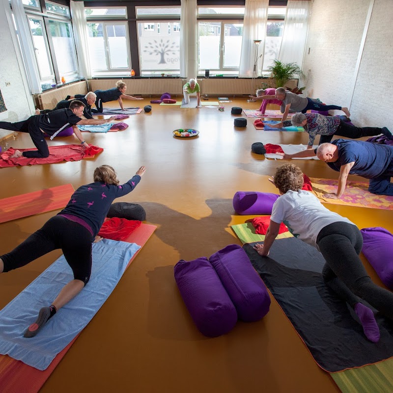 Life-Force Yoga & mindfulness, Duiven, Westervoort.