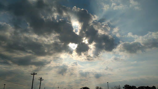 Insurance Agency «American Modern Insurance Group Inc», reviews and photos