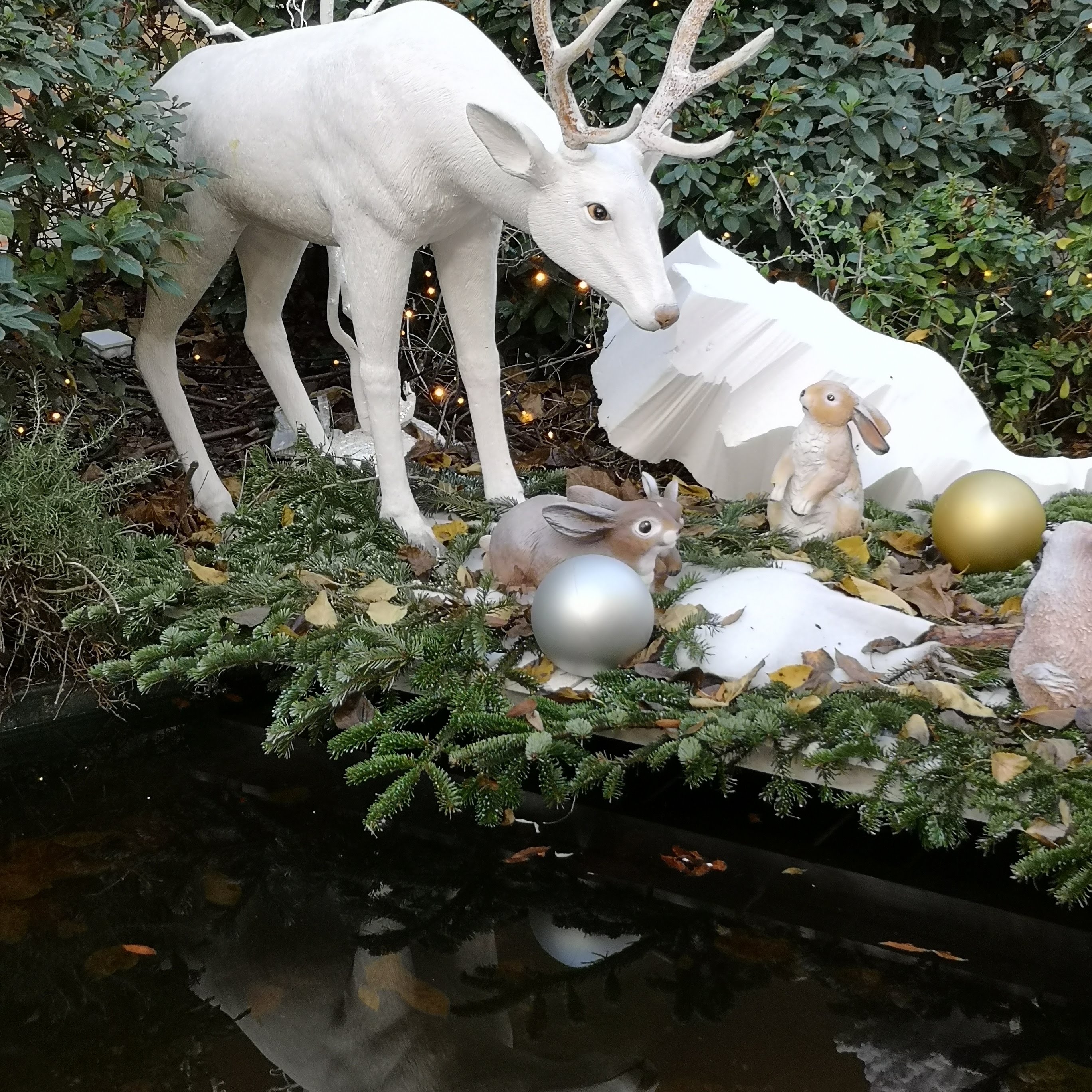 Photo n° 2 de l'avis de Jacques.a fait le 27/12/2019 à 08:46