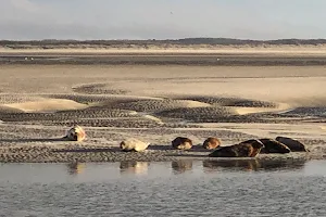 Promenade de Berck aux Sternes image