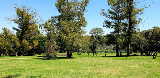 Golden Harvest Park