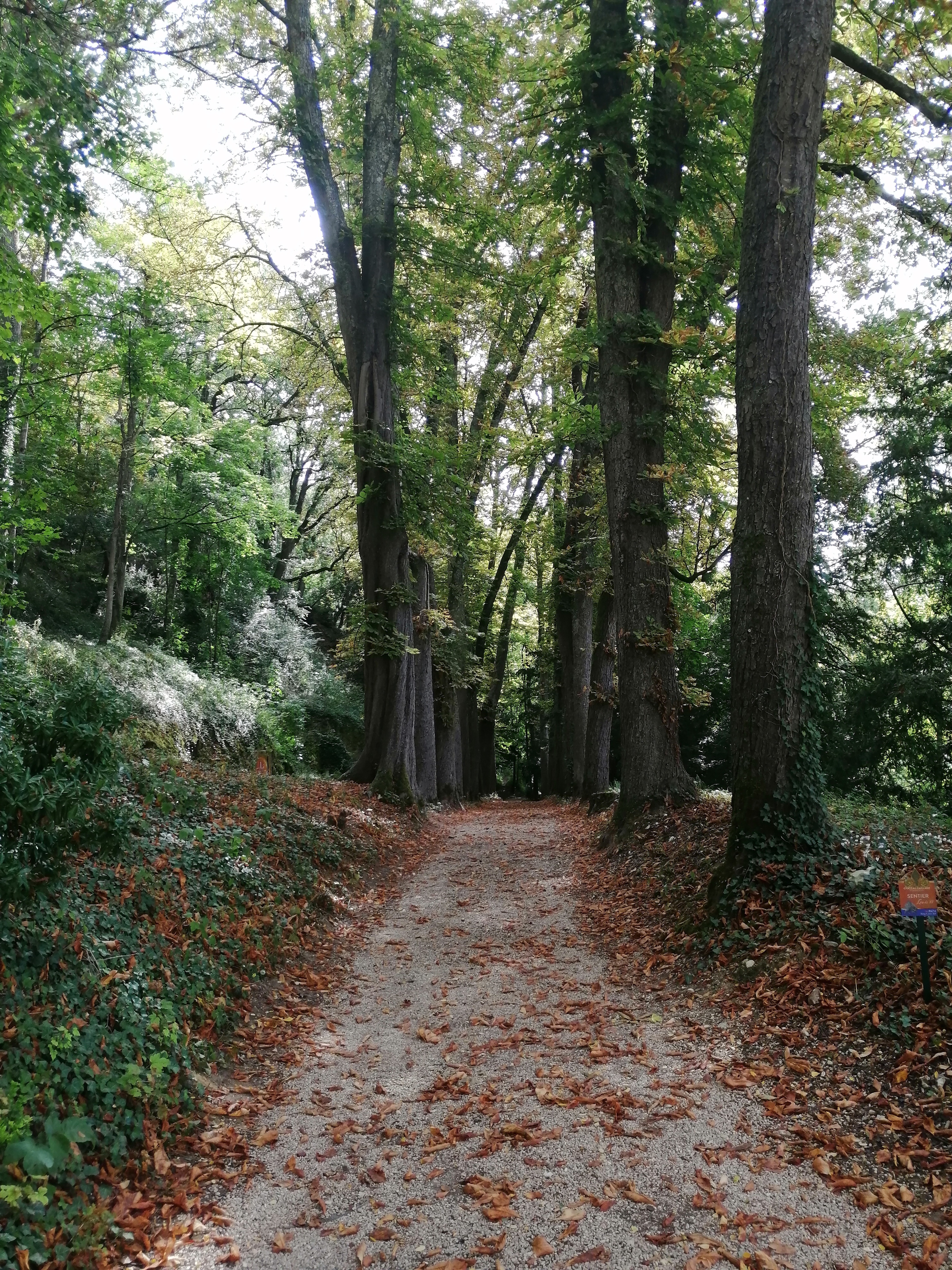 Photo n° 3 de l'avis de Mária.� fait le 10/09/2021 à 17:36