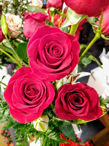 Grocery Store «Harmons», reviews and photos, 7755 700 E, Midvale, UT 84047, USA