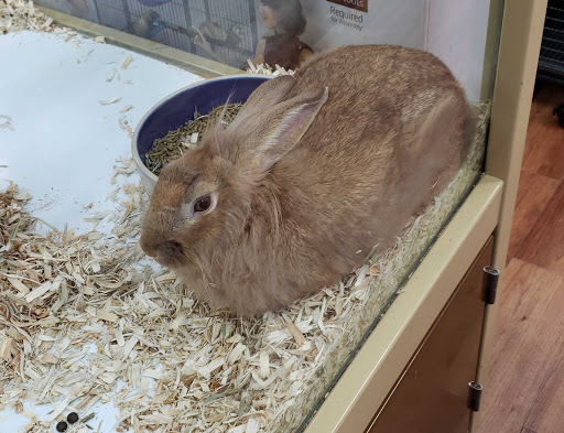 Pet Supply Store «Pet Supermarket», reviews and photos, 2090 E Arapaho Rd, Richardson, TX 75081, USA