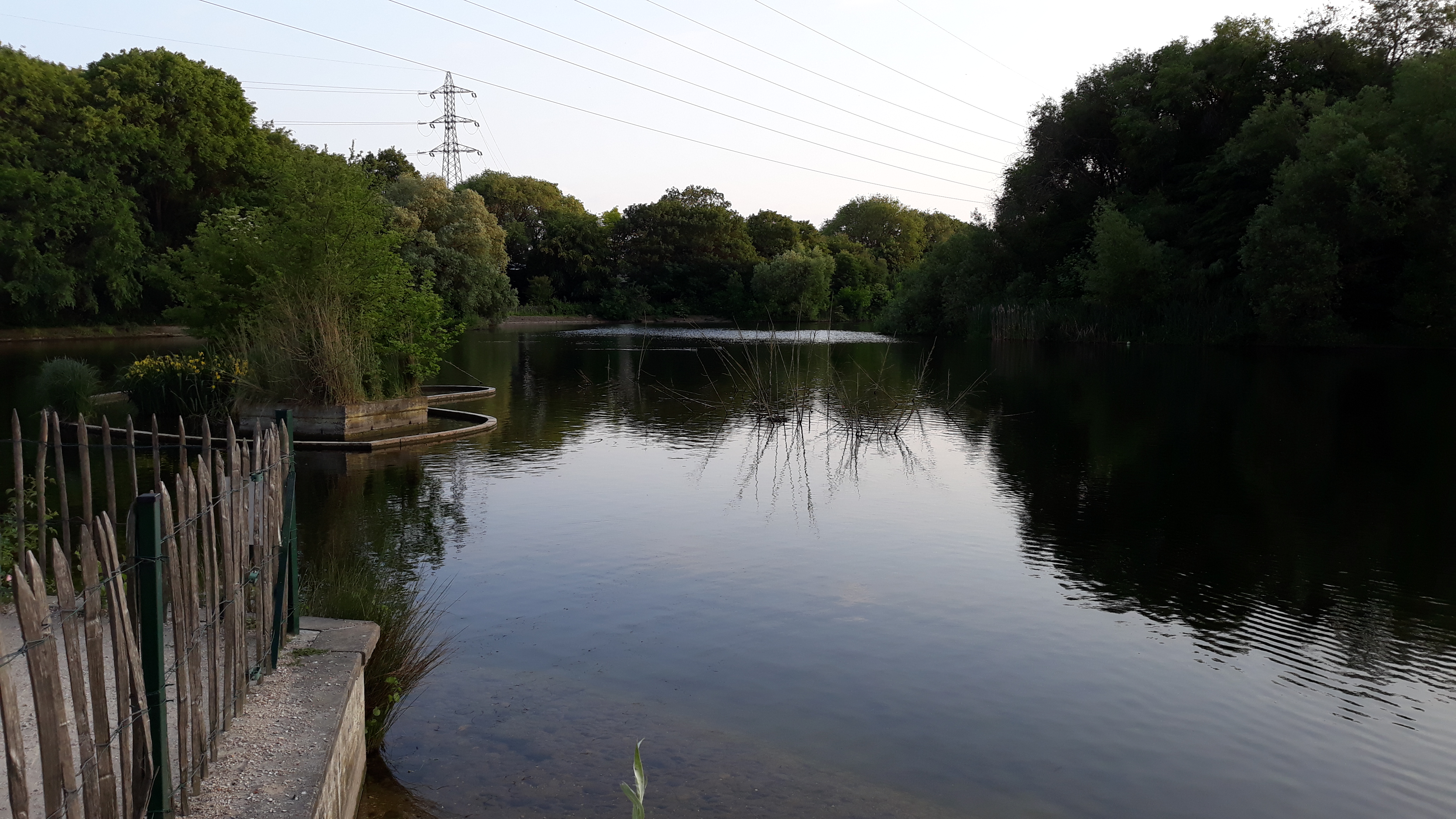 Photo n° 4 de l'avis de Marianne.e fait le 20/05/2018 à 20:06