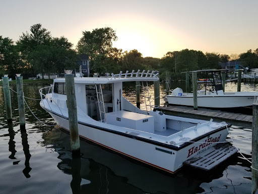 Auto Repair Shop «Precision Tune Auto Care», reviews and photos, 6311 Coventry Way, Clinton, MD 20735, USA