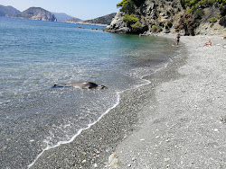 Photo de Paralia Vithisma situé dans une zone naturelle