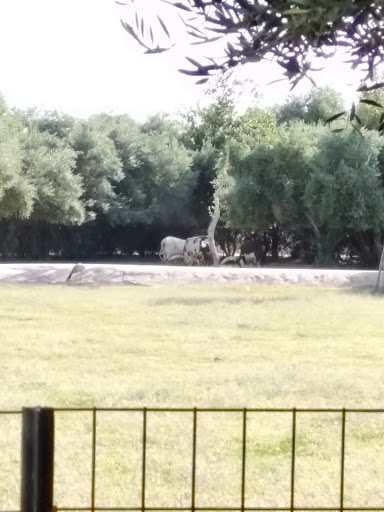 Golf Course «Falcon Dunes Golf Course», reviews and photos, 15100 Northern Ave, Waddell, AZ 85355, USA