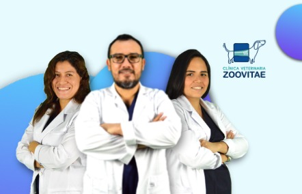 Clínica Veterinaria Zoovitae