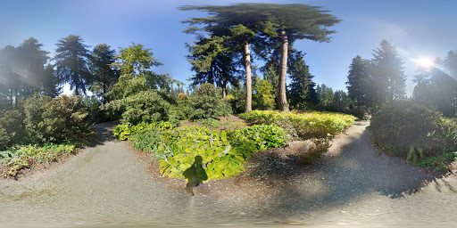 Botanical Garden «Rhododendron Species Botanical Garden», reviews and photos, 2525 S 336th St, Federal Way, WA 98003, USA