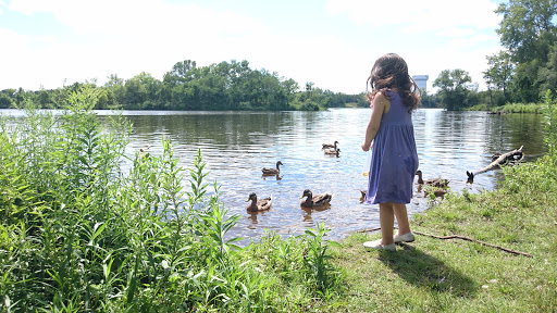 Park «Coon Rapids Dam Regional Park», reviews and photos, 10360 W River Rd, Brooklyn Park, MN 55444, USA