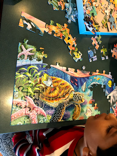 Book Store «Barnes & Noble Bookstores», reviews and photos, 2325 S Stemmons Fwy #401, Lewisville, TX 75067, USA