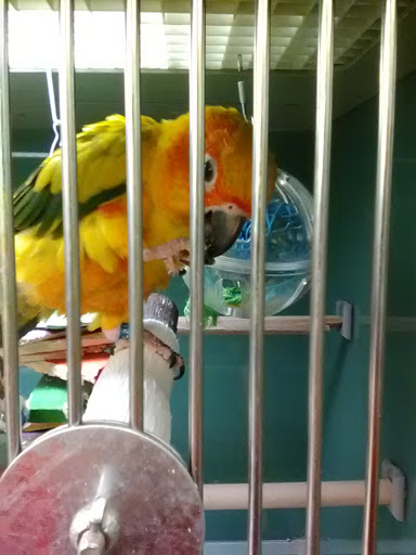 Pet Supply Store «Pet Supplies Plus», reviews and photos, 425 Water St, Chardon, OH 44024, USA