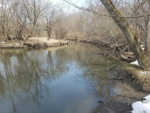 Nature Preserve «Bemis Woods», reviews and photos, 1100 Ogden Ave, Westchester, IL 60154, USA