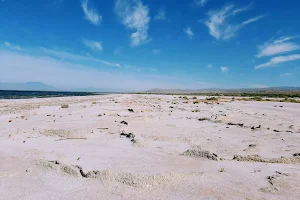Salton Sea image