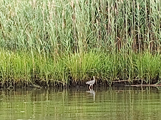 Tobacco Shop «Poospatuck Smoke Shop», reviews and photos, 207 Poospatuck Ln, Mastic, NY 11950, USA