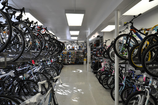 Bicycle Store «Takoma Bicycle», reviews and photos, 7030 Carroll Ave, Takoma Park, MD 20912, USA