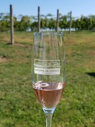 Winery «Drumlin Ridge Winery», reviews and photos, 6000 River Rd, Waunakee, WI 53597, USA