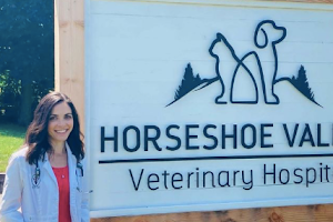 Horseshoe Valley Veterinary Hospital image