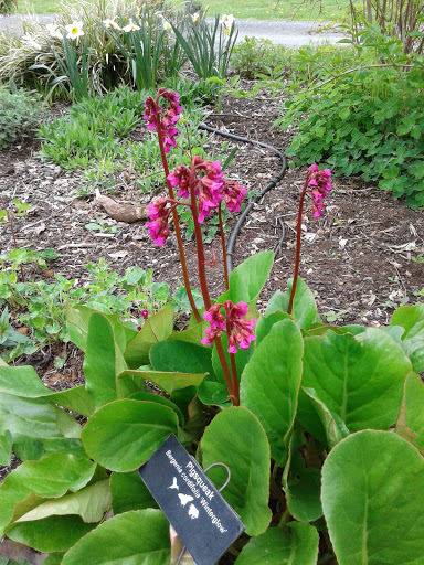 Tourist Attraction «NatureScaping Wildlife Botanical Gardens», reviews and photos, 11000 NE 149th St, Brush Prairie, WA 98606, USA