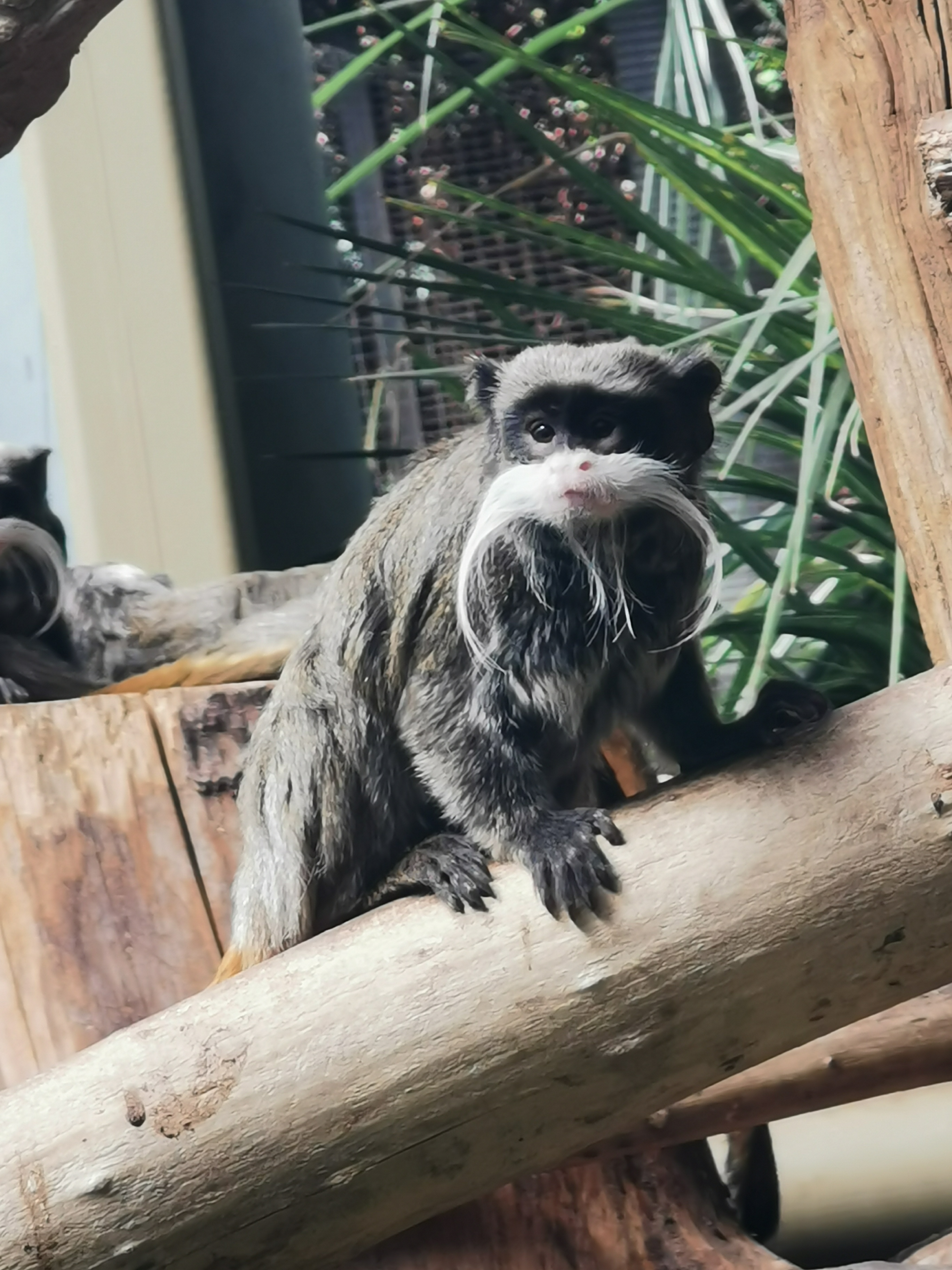 Photo n° 7 de l'avis de Sylvain.i fait le 03/09/2020 à 11:35