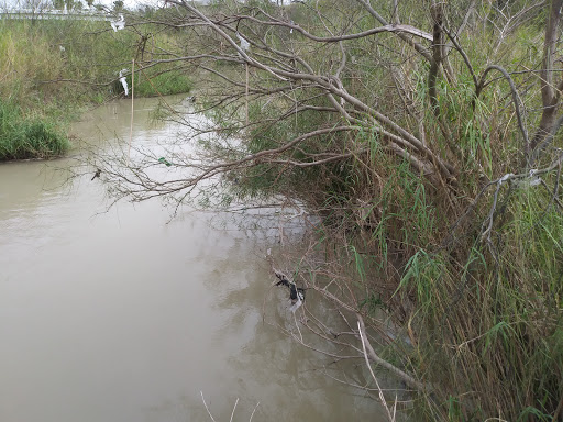 Park «McKelvey Park», reviews and photos, 1325 S 77 Sunshine Strip, Harlingen, TX 78550, USA