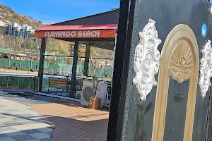 Flamingo Havuz Cafe & Restaurant image
