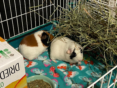 Crystal’s Pet Services (Guinea Pig & Rabbit boarding)