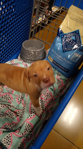 Pet Supply Store «PetSmart», reviews and photos, 976 IL-59, Aurora, IL 60504, USA