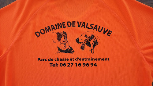 Chasse du Domaine de Valsauve à Verfeuil