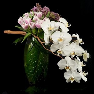 Florist «Grace Lakes Florist, Inc», reviews and photos, 997 5th Ave Pkwy, Naples, FL 34102, USA