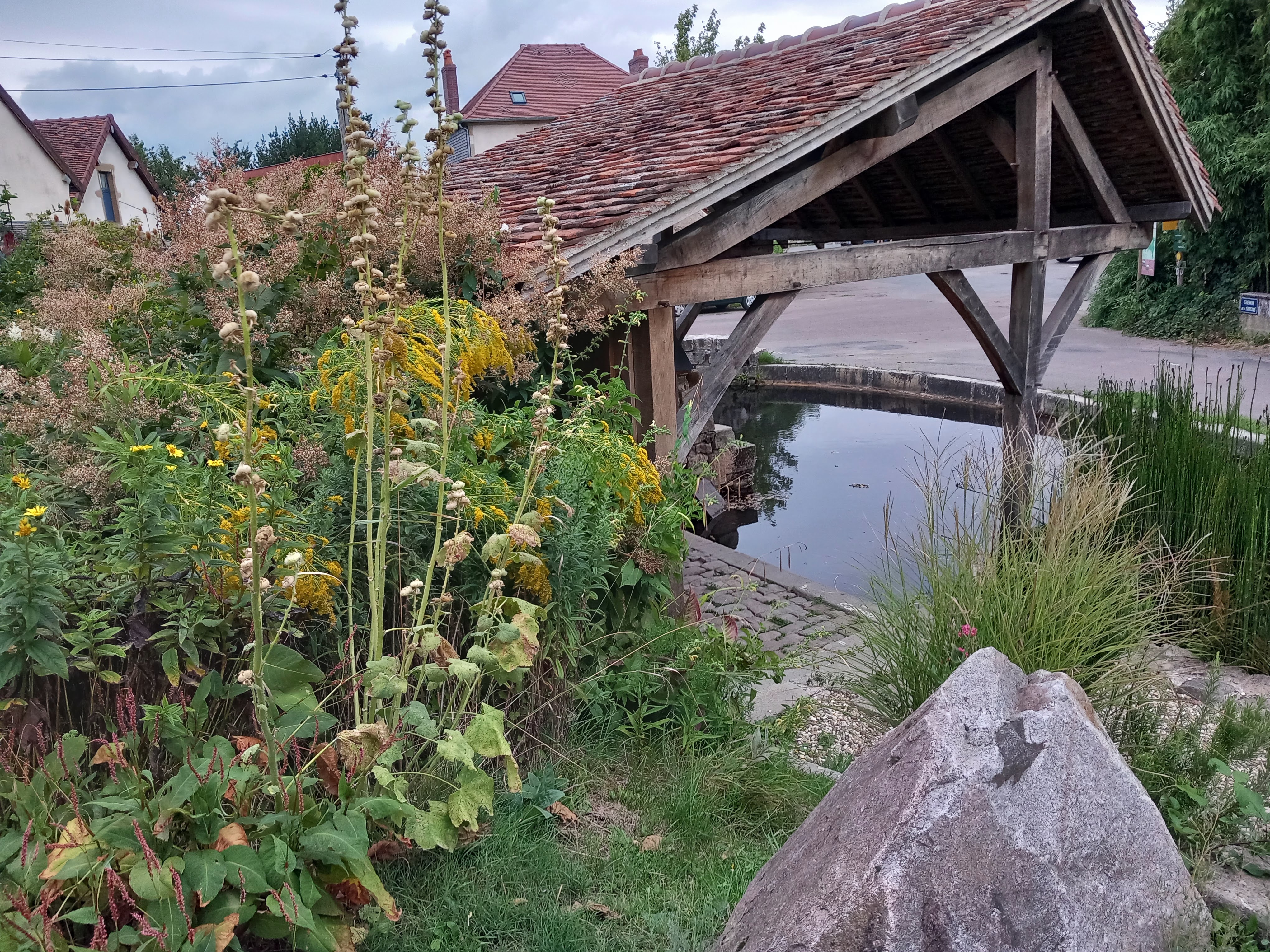 Photo n° 9 de l'avis de C.G fait le 27/08/2023 à 13:41