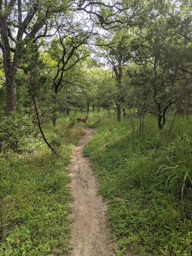 Park «Bamberger Nature Park», reviews and photos, 12401 Babcock Rd, San Antonio, TX 78249, USA