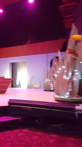 Performing Arts Theater «Schenectady Light Opera Co», reviews and photos, 427 Franklin St, Schenectady, NY 12305, USA