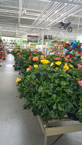 Garden Center «Dees Nursery & Florist», reviews and photos, 69 Atlantic Ave, Oceanside, NY 11572, USA