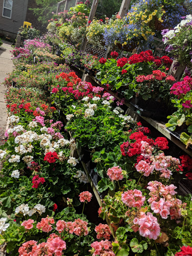 Visitor Center «Amana Colonies», reviews and photos, 622 46th Ave, Amana, IA 52203, USA