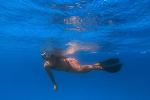 Mergulho Snorkel em Arraial do Cabo - Diver Trip Mergulho image