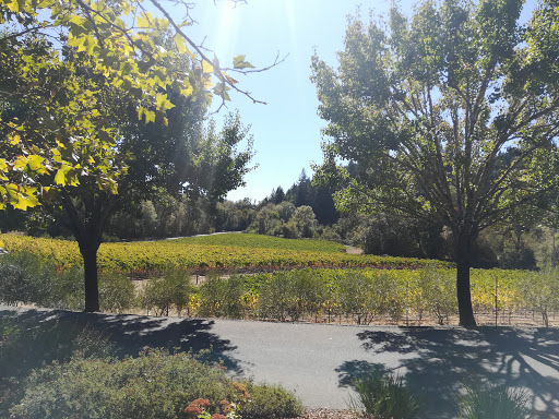 Winery «Hartford Family Winery», reviews and photos, 8075 Martinelli Rd, Forestville, CA 95436, USA