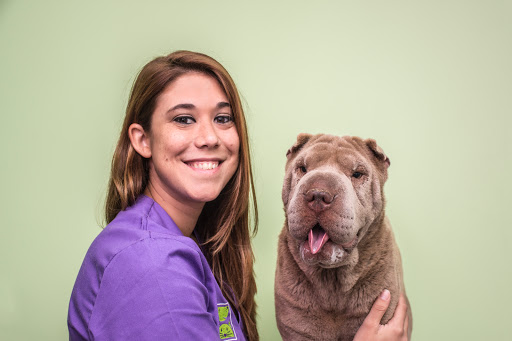 Vitalcan 24-horas Emergency Centro Veterinario en Sevilla