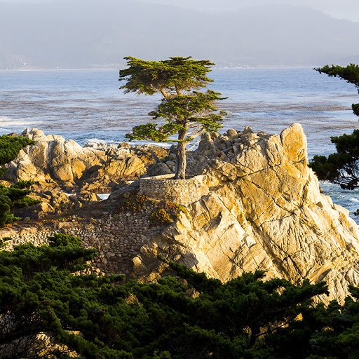 Building Materials Store «Foundation Building Materials», reviews and photos, 1431 N Main St, Orange, CA 92867, USA