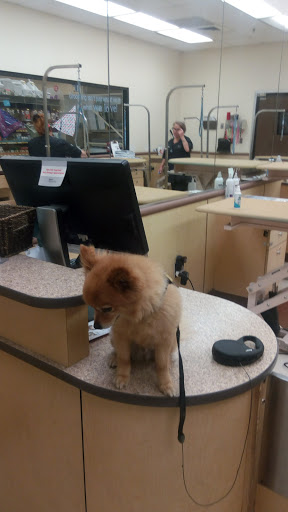 Pet Supply Store «PetSmart», reviews and photos, 5435 W TX-1604 Loop N, San Antonio, TX 78253, USA